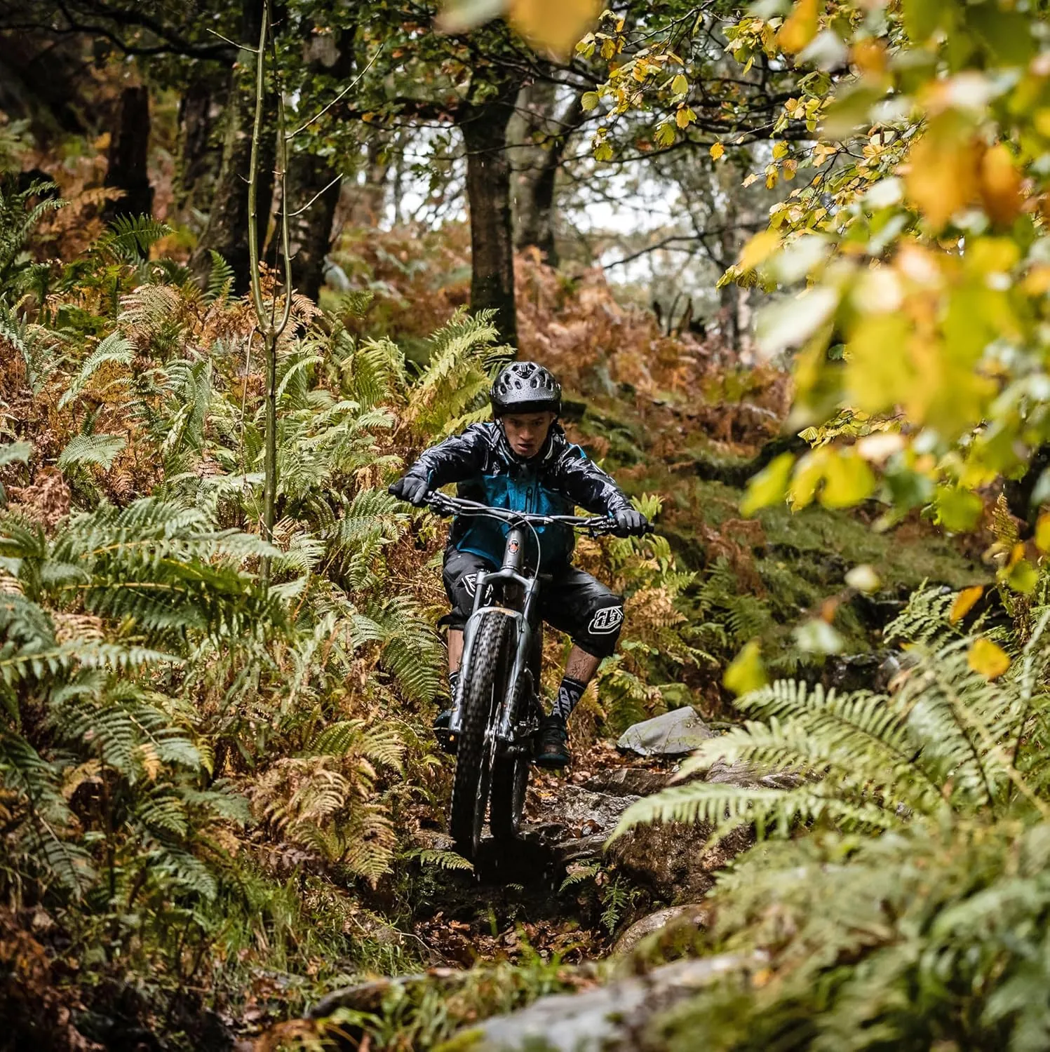 WTB Vigilante Mountain Bike Front Tire, Tubeless Ready Folding Bead, High Grip, Aggressive Trail & Enduro, TriTec Compound, Available with SG1 or SG2 Puncture Protection, Maximum Grip & Control