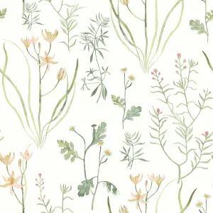 York Wallcoverings PSW1519RL Peach Alpine Botanical Premium Peel and Stick Wallpaper